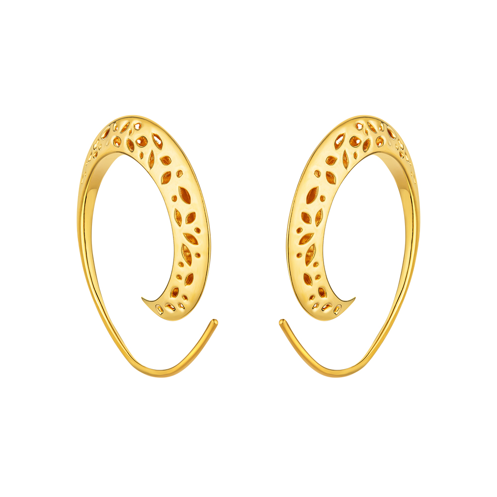 5D Gold Earrings
